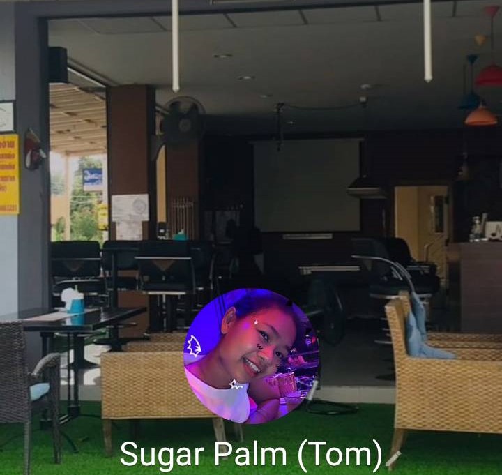 sugar palm tom